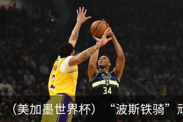 （美加墨世界杯）“波斯铁骑”顽强两连平 伊朗队期待更进一步